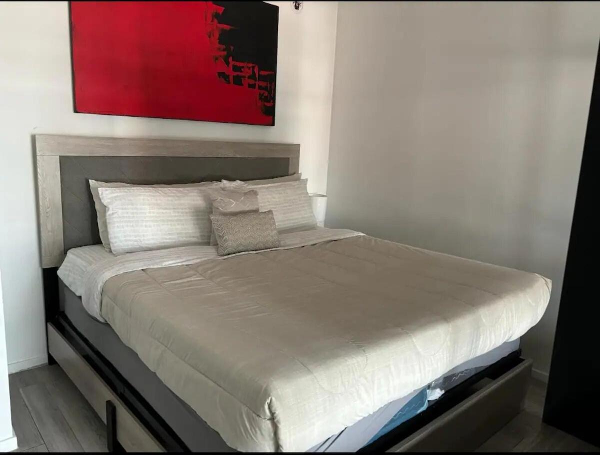 Amazing Studio Downtown Mia Apartment